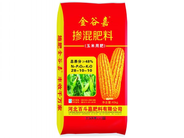 金谷嘉玉米