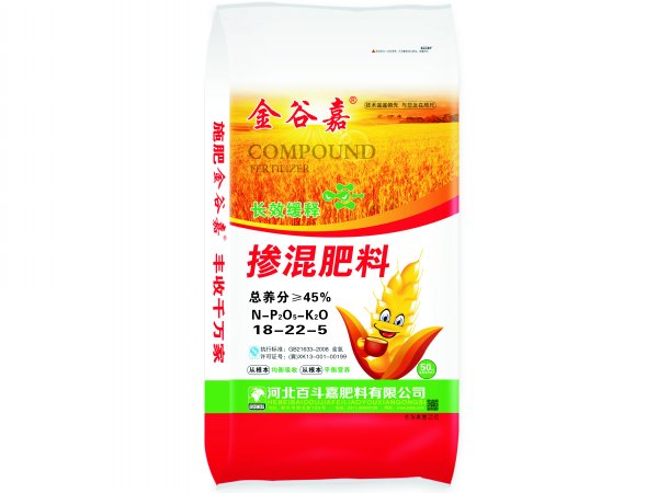 金谷嘉卡通小麥